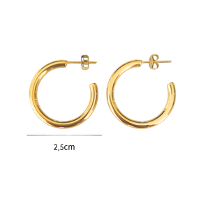 Brinco Argola Clássica 2,5cm Banhado a Ouro 18k